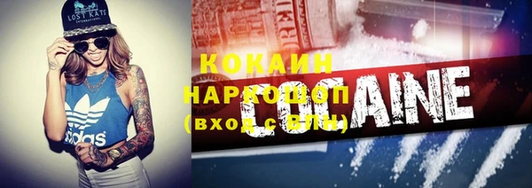 твердый Горняк