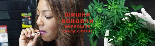 apvp Богородицк
