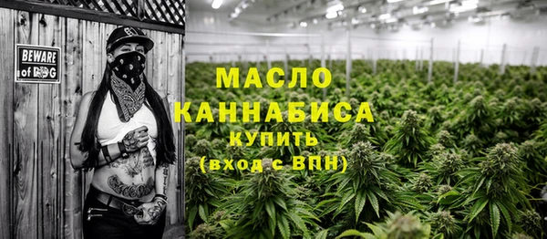 индика Богородск