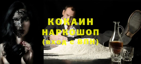 индика Богородск