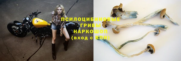 apvp Богородицк
