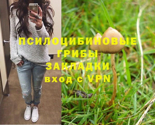 apvp Богородицк