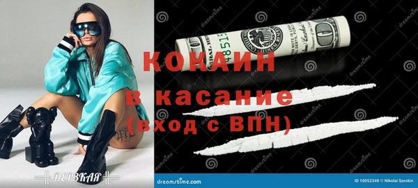 индика Богородск