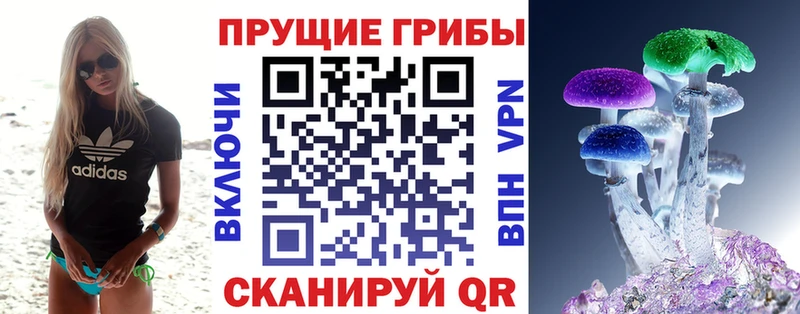 Галлюциногенные грибы GOLDEN TEACHER Верхний Тагил